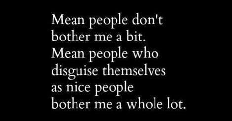 Wolves In Sheeps Clothing Quotes, Wolves In Sheeps Clothing, Mean Spirited People, Manipulative People Quotes, Dealing With Mean People, Clothing Quotes, Fake Christians, Connection Quotes, Manipulative People