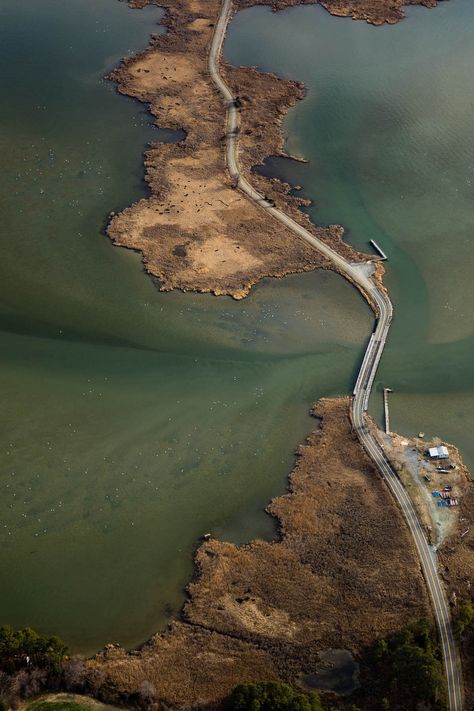 Chesapeake Bay Aesthetic, Cheasepeake Bay, 6th Grade Science, Chesapeake Bay, 6th Grade, Many People, My Happy Place, Long Island, Happy Places