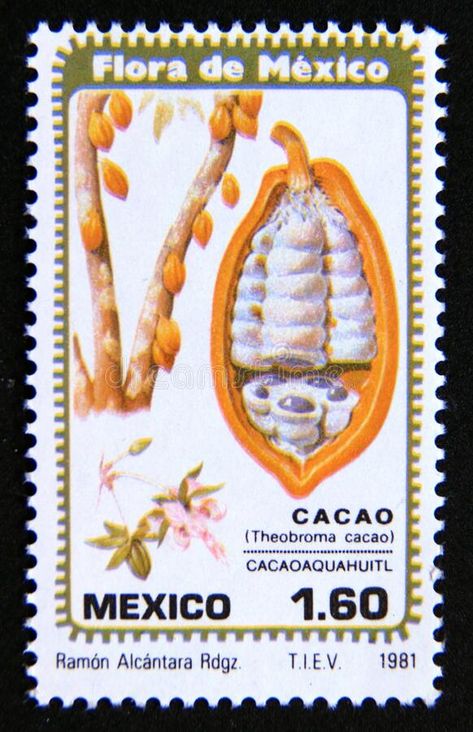 Mexican Postage Stamps, Mexican Stamp, Cacao Plant, Mexico Stamp, Mexican Pictures, Mexican Peso, Logo Samples, Collage Board, Stamp Printing