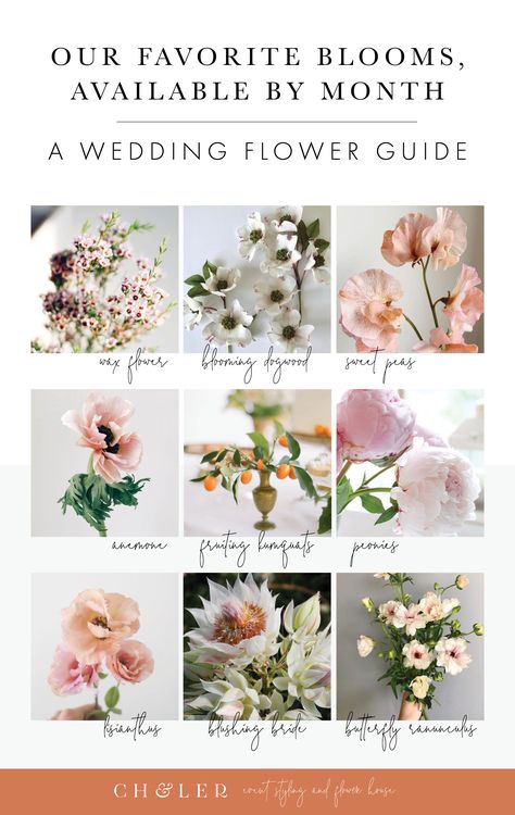 In Season Flowers November, November Seasonal Flowers, Flower Guide Wedding, October Flowers In Season Wedding, Wedding Flower Season Chart, Flowers In Season October, Common Wedding Flowers, Wedding Flowers Price Guide, June Seasonal Flowers