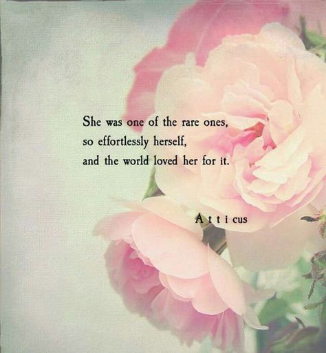 No Ordinary Girl, Rose Quotes, Grandma Quotes, Spring Quotes, Awesome Quotes, Special Quotes, Atticus, A Quote, Divine Feminine