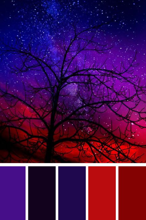 Starry Night with Silhouetted Tree: A mesmerizing night sky filled with stars and a gradient of deep purples and reds frames the silhouette of a bare tree. This red and purple color palette conveys a sense of wonder and serenity, highlighting the ethereal beauty of the cosmos. Colors That Go Good With Purple, Deep Jewel Tones, Color Gradients, Purple Red Aesthetic, Underworld Color Palette, Dark Color Combinations, Halloween Colors Palette, Star Color Palette, Red Complimentary Colors