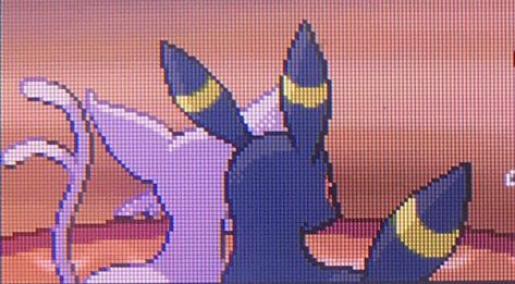 Pokemon Banner, Umbreon Pokemon, Umbreon And Espeon, Could Be Us, 1366x768 Wallpaper Hd, Arte 8 Bits, Pokemon Memes, Pokemon Funny, Wallpaper Animes