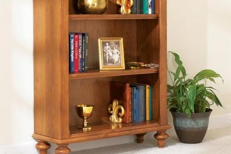 Build-in-a-weekend Bookcase Downloadable Plan | WOOD Magazine Bookshelf Woodworking Plans, Bookcase Woodworking Plans, Garden Wood, Woodworking Bed, Woodworking Logo, Wood Crafting Tools, Wood Magazine, Woodworking Projects For Kids, Woodworking Joinery