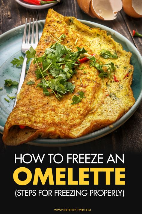 Can You Freeze Omelets, Frozen Omelettes, Make Ahead Omelettes, Freezer Omelets, Meal Prep Omelette, Egg Omelette Recipe, Baked Omelette, Healthy Omelette, Tea Egg