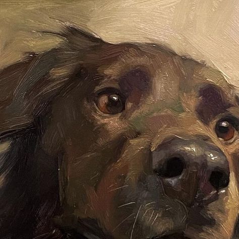 Jennifer Gennari, Pet Portrait Paintings, Dog Portraits Painting, Dog Portraits Art, Animal Poster, Arte Inspo, Realism Art, Arte Animal, Art Inspiration Painting