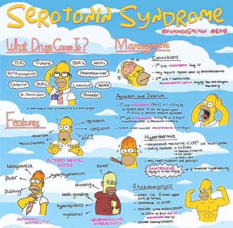 Serotonin syndrome Pharmacy School Study, Wound Care Nursing, Physician Assistant School, Nursing Study Tips, Serotonin Syndrome, Psych Nurse, Nursing Assessment, Nursing Study Guide, Pharmacy School