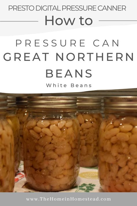 How to Pressure Can Great Northern Beans | White Beans Canned in the Presto Digital Pressure Canner! - The Home in Homestead Chicken Chili White, Pressure Canner Recipes, Electric Pressure Canner, Mayocoba Beans, Canning Soup Recipes, White Beans And Ham, Chili White, Canning Beans, Bean Salads