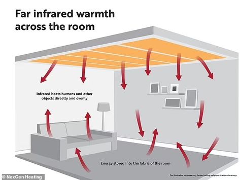 Electric wallpaper trialled as alternative to central... | Daily Mail Online Electric Wallpaper, Futuristic Decor, Scottish Homes, Live On Air, Canned Heat, Willy Wonka, Central Heating, Bits And Bobs, Heating Systems