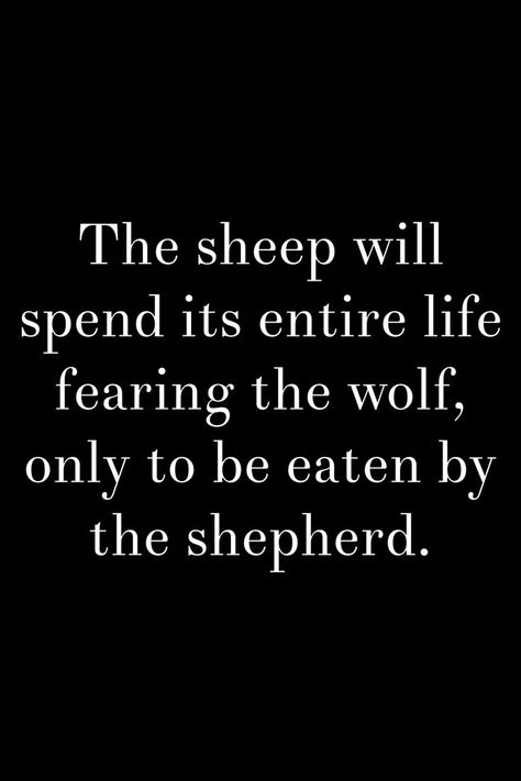 The sheep will spend its entire life fearing the wolf, only to be eaten by the shepherd. A beautifully written motivational quote with a darkly comic yet insightful lesson about facing your fears and making the most of the time you have, because the shepherd is coming for all of us. Exercising At Home, Facing Your Fears, Home Fitness Equipment, Suspension Trainers, Face Your Fears, Wolf Quotes, Home Workout Equipment, Home Fitness, Fitness Tools