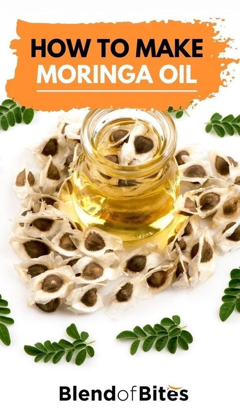 Benefits Of Moringa Seeds, Moringa Recipes, Moringa Benefits, Moringa Seeds, Moringa Tree, Moringa Powder, Moringa Oil, Natural Healing Remedies, Herbs For Health