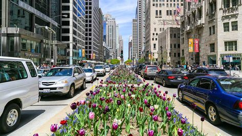 Michigan Avenue Chicago Shopping, Michigan Avenue Chicago, Skydeck Chicago, Chicago Magnificent Mile, Chicago Vacation, Things To Do In Chicago, American Holidays, Magnificent Mile, Visit Chicago