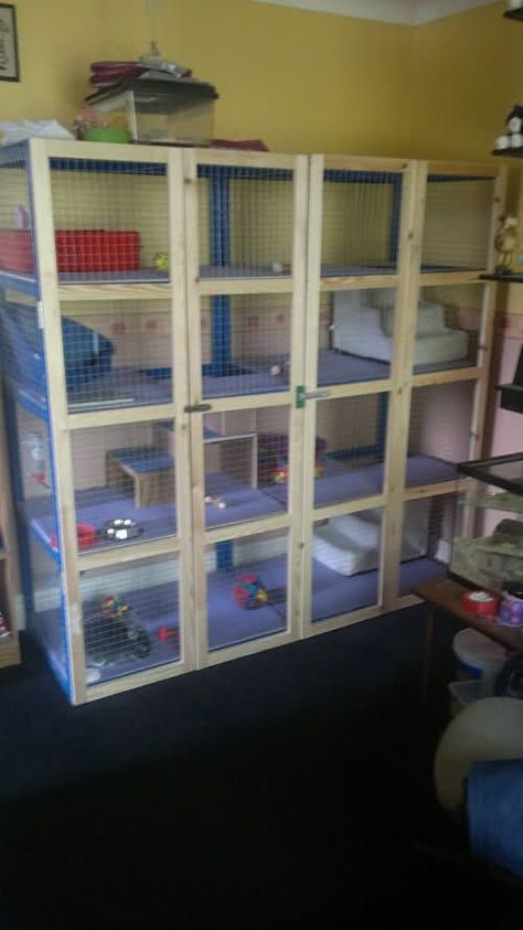 Rabbit Hutch Ideas, Indoor Rabbit Cage, Diy Rabbit Hutch, Bunny Cage, Hutch Ideas, Ferret Cage, Bunny Hutch, Rabbit Stuff, Rabbit Ideas