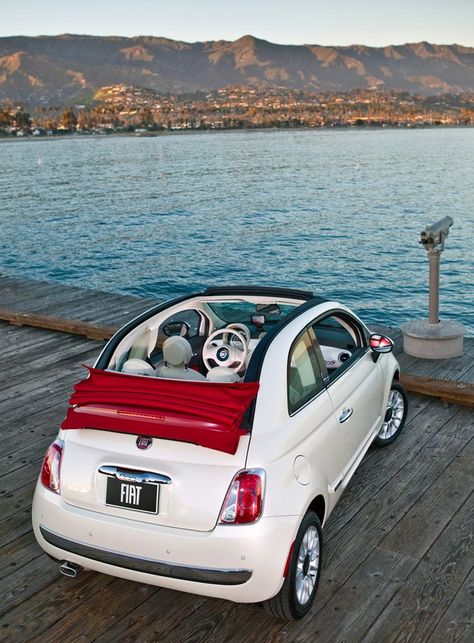 Fiat 500 Cabrio, Fiat 500c, Car Purchase, Fiat Panda, Car Lot, Pretty Cars, Car Hire, Car Club, Future Car