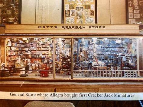 Motts miniatures in Knotts Berry farm - the general store that started all the collecting in miniature Miniature General Store, Grandmother House, Knotts Berry Farm, Berry Farm, Cracker Jacks, General Store, Berry, Miniatures