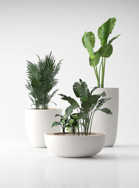 House Plant Decor, Tattoo Plant, Tanaman Indoor, Kitchen Plants, Potted Plants Outdoor, Indoor Flower Pots, Desain Furnitur Modern, Decoration Plante, Plants Decor