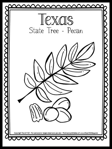 {Free Printable!} Texas State Tree Coloring Page [Pecan Tree] - The Art Kit Texas Crafts Preschool, All About Texas Preschool, Texas Coloring Pages, Texas Fair, Texas Symbols, Texas Trees, Texas Crafts, Flower Stencils, Leaf Coloring Page