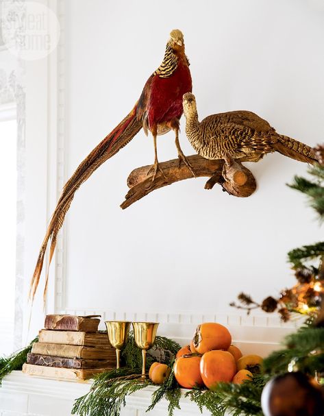 Go grocery shopping—Unusual and imperfect yet bright and seasonal, persimmons are the perfect accents for this natural style. Strewn along the mantel, they look like they’re about to be foraged by the vintage taxidermied pheasants above. Christmas Foyer, Taxidermy Decor, Home Organization Ideas, Holiday Diy Projects, Fabric Outlet, Budget Decor, Brown Kraft Paper, The Perfect Christmas, Decor Trends