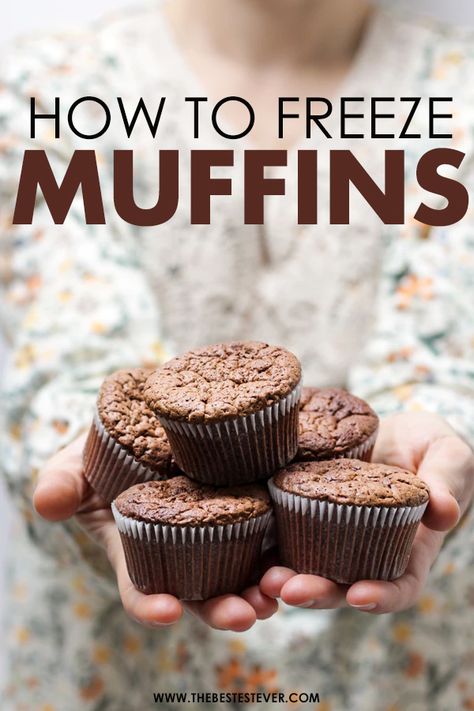 We show you the quick and easy to way to go about freezing your muffins. Find out how long you can keep them and what you need to ensure they are stored properly.  #muffins #freezefood Best Muffin Recipe, Freeze Muffins, Sugar Free Muffins, Choc Chip Muffins, Moist Muffins, Sprinkle Shower, Cinnamon Muffins, Homemade Muffins, Frozen Chocolate