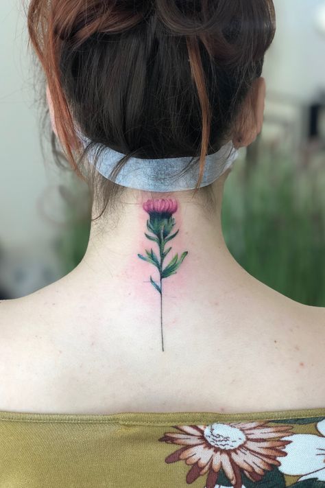 Scottish Thistle Tattoo, Scottish Tattoos, Thistle Tattoo, Lavender Tattoo, Floral Tattoos, Poppies Tattoo, Art Colourful, Tattoo Clothing, Classic Tattoo