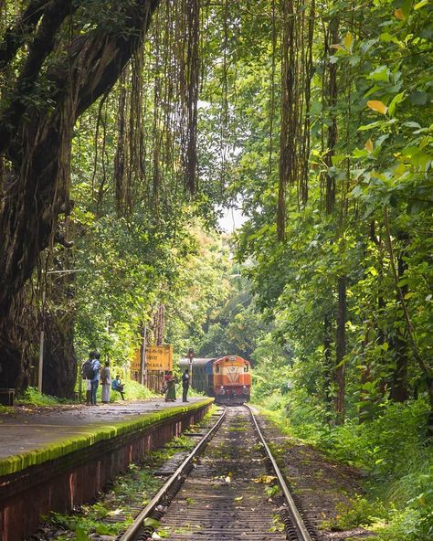 Indian Travellers on Instagram: “Train & Rain. What a great combination. The metallic chugging of the train mixed with the fluidic beat of raindrops. Journey to kerala…” Kerala Village, Kerala Tour, Kerala Travel, India Travel Places, Village Photos, Village Photography, Kerala Tourism, Beauty Routine Tips, Beauty Guide