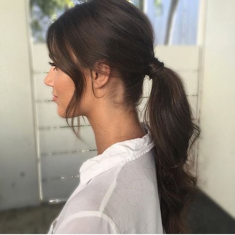 The perfect ponytail 🤓 Steph Rayner, The Perfect Ponytail, Stephanie Rayner, Curled Ponytail, Perfect Ponytail, Brown Ombre Hair, Dark Brown Hair, Ombre Hair, Ponytail Hairstyles