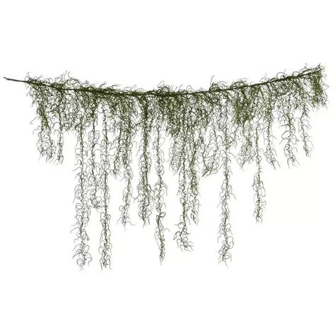 Green Spanish Moss Garland | Hobby Lobby | 343285 Moss Garland, Swamp Witch, Moss Wedding, Peace Pipe, Moss Decor, Enchanted Forest Wedding, Greenery Garland, Spanish Moss, Leaf Garland