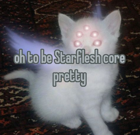 Starflesh core. Starflesh Wallpaper Pc, Starflesh Pfp, Starflesh Aesthetic, Cryptic Core, Feeling Of Emptiness, Animal Horror, Katie Core, Chaos Core, Aggressive Animals