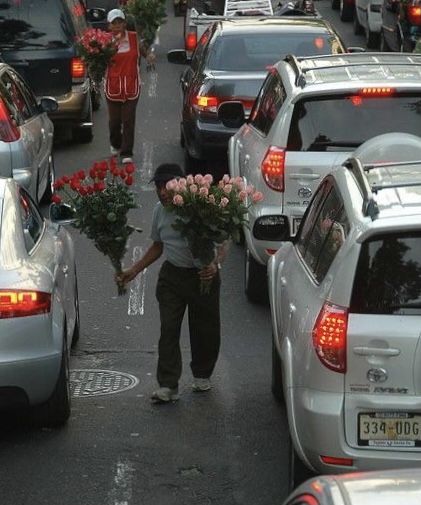 A Man, Flowers, On Instagram, Instagram