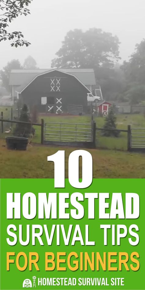 Creating a sustainable homesteading survival retreat truly is the best way to prep, but it could all go wrong if you don't follow these tips. #homesteadsurvivalsite #homesteadsurvival #survivaltips #homesteading #survival Homestead Equipment, Prepper Supplies, Survival Prep, Desert Backyard, Solar Power Charger, Going Off The Grid, Homestead Ideas, Homesteading Diy, Homesteading Skills