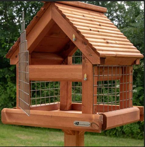 The Biggest Bird, Nesting Boxes Diy, Biggest Bird, Caged Bird Feeders, Luxe Home Decor, Backyard Birds Sanctuary, Backyard Birds Feeders, Wooden Roof, Extravagant Homes