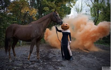 Halloween Horse Photoshoot, Costumes For Animals, Headless Horseman Costume, Fall Shoot Ideas, Halloween Photoshoot Ideas, Horse Halloween Costumes, Horse Photoshoot Ideas, Halloween Horse, Fall Animals