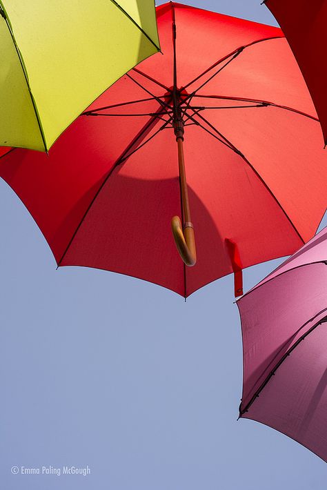 Brollies Umbrella Photography, Rain Coats, Rainy Days, Umbrella, Tokyo, The Originals, Photography, Quick Saves, Design