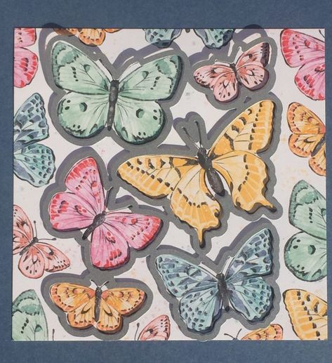 BFF Stampers / Stampin' Up! Independent Demonstrator Butterfly Brilliance, Largest Butterfly, Wink Of Stella, Stamp Pad, Butterfly Cards, Stamping Plates, Today Only, Let It Snow, My Favorite Part