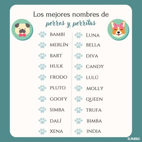 Más de 200 nombres para perros machos y perritas (bonitos y originales) Dibujos Ideas, Buyer Persona, I Deserve, Relationships Love, Dog Pictures, Animal Lover, Dogs, Animals, Art