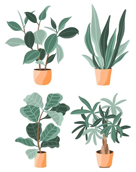 Plants In Pots Drawing, Pot Plant Illustration, Plant Drawing Aesthetic, Potted Plant Drawing, Potted Plant Illustration, House Plant Illustration, Big Leaf Plants, Plants Vector, Nature Icon