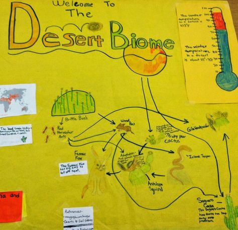 Biomes poster project- Hello Learning blog Biome Poster Project, Biomes Project, Red Rat, Poster Project, Upper Elementary Math, Math Word Problems, Math Projects, Maths Puzzles, 5th Grade Math