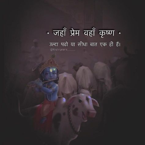 Krishna On Love, Vrindavan Quotes In Hindi, Kanha Quotes In Hindi, Cow Captions For Instagram, Cow Love Quotes, Vrindavan Quotes, Cow Quotes, Vrindavan Photography Pictures, Krishna Quotes In Hindi