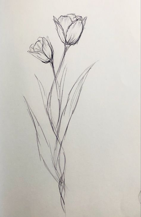 Plants Drawing Sketch, Sketch Nature Simple, Cute Flower Sketches, How To Draw A Lily Flower, Flower Drawing Inspiration, Tulip Spine Tattoo, Flowers To Sketch, Sketch Ideas Flowers, Flower Sketch Aesthetic