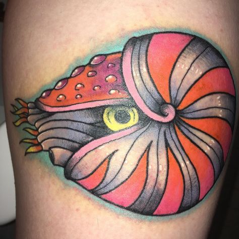 Chambered Nautilus, Tattoo Desings, R Tattoo, Sunflower Tattoo, Unique Tattoo, Springfield Mo, Disney Tattoos, Nature Tattoos, Best Tattoo