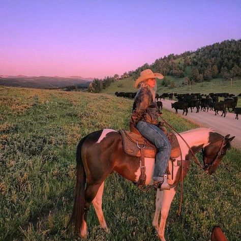 Country Girl Aesthetic, Foto Cowgirl, Country Girl Life, Looks Country, Western Life, Rodeo Life, Cowgirl Aesthetic, Horse Aesthetic, Country Lifestyle