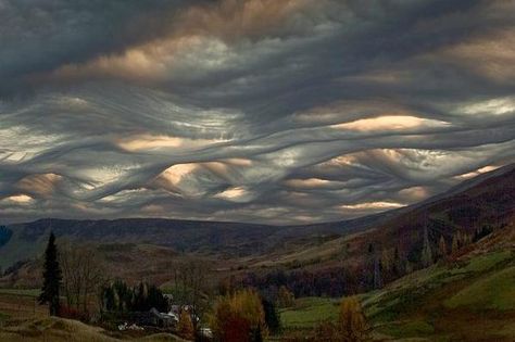 Undulatus asperatus is the first new cloud formation classified in 60 years (Image: Ken Prior) Undulatus Asperatus, 1024 X 576, Cloud Type, Fantasy Scenery, Emotional Photos, Vincent Van Gogh Paintings, Cloud Photos, Van Gogh Paintings, Jolie Photo