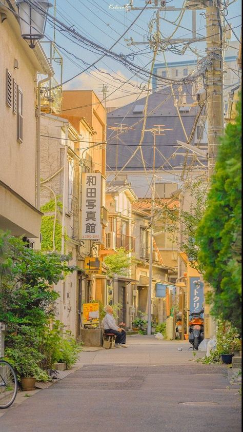 #prefiroviajar #agencia #viajarepreciso #adventure #brasilturismo #ecotourism #sustainabletravel #getoutdoors #naturetravelfamily #adventuretravel Bridge Scenery, Ann Liang, American Tourister Luggage, Sea Walk, Summer Japan, Japan Summer, Train Ticket, Tokyo Japan Travel, Japan Landscape