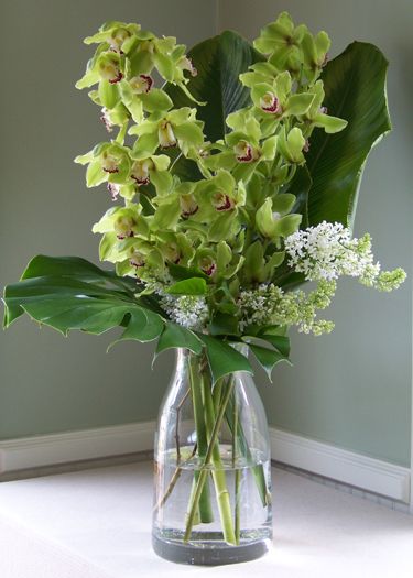 Floral Verde LLC-Happy Mother's Day! Cymbidium Orchids Arrangement, Floral Tools, Diy Flower Arrangements, Orchid Vase, Orchid Leaves, Cymbidium Orchid, Wholesale Flowers Wedding, Orchid Bouquet, Orchid Arrangements