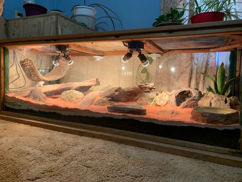 Iguana Terrarium, Bearded Dragon Vivarium Ideas, Diy Reptile Enclosure, Desert Vivarium, Bearded Dragon Tank Setup, Diy Bearded Dragon Enclosure, Dragon Enclosure, Bearded Dragon Vivarium, Bearded Dragon Terrarium Ideas