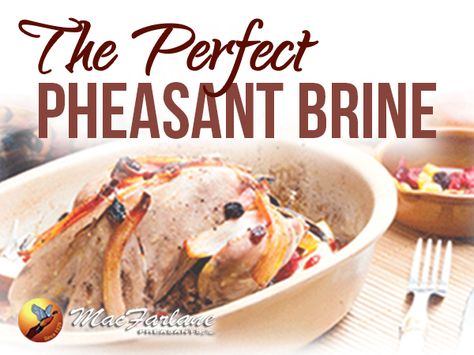 The Perfect Pheasant Brine. Baked Pheasant Recipes, Pheasant Recipes, Brine Recipe, Game Recipes, Wild Game Recipes, Wild Game, Game Food, Pheasant, Meat Recipes