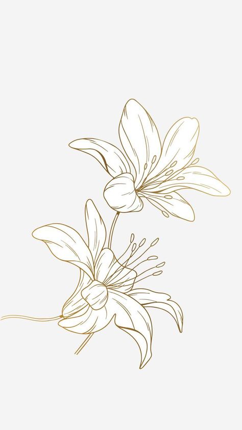 Lilly Line Tattoo, Drawing Of Lily Flowers, Lilly Outline Tattoo, Lillys Flowers Tattoo, Lily Line Tattoo, Lilly Outline, Tiger Lilly Drawing, Lillies Drawings, Lily Drawing Simple