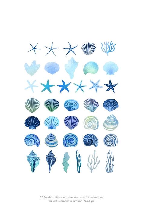 Corals Illustration, Plakat Design Inspiration, Blue Seashells, Beach Wall Collage, Ocean Shells, 달력 디자인, Rustic Watercolor, Idee Cricut, Watercolor Ocean