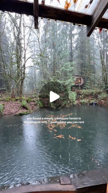 Treehouse Point on Instagram: "just 30 minutes from Seattle tucked away in the woods in Washington 🌲🌧️

#treehouse #washington #travel #cabin #getaway #rainydays #forest #pnw #glamping" Treehouse Point Washington, Pnw Adventures, Treehouse Point, Cabin Getaway, Washington Travel, January 11, In The Woods, Rainy Days, Glamping