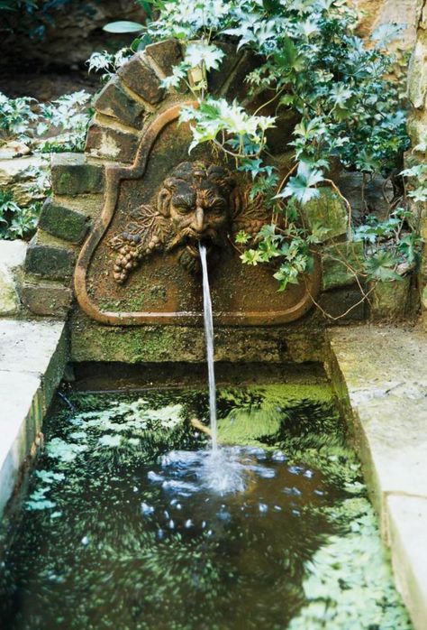 Gothic Garden, Midwest Living, Yard Project, Wall Fountain, Water Features In The Garden, Garden Fountains, Garden Features, Courtyard Garden, Water Fountain